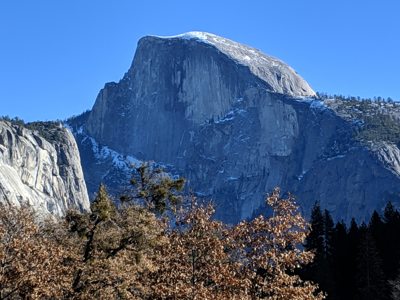 Illustration for article titled Toby in Yosemite